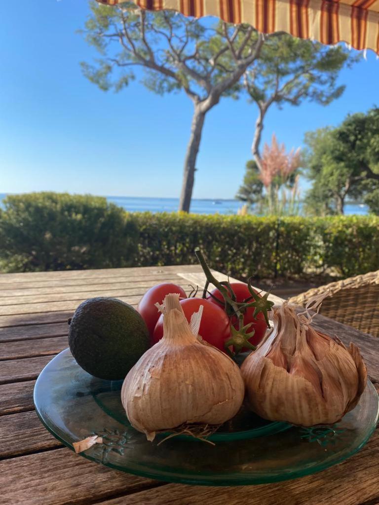 Villa Cannes Directly On The Sea Zewnętrze zdjęcie